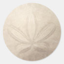 Search for sand dollar stickers Shell