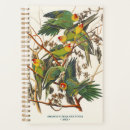 Search for parrot lover Nature