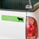 Search for cows bumper stickers Cowgirls