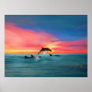 Search for dolphin sunset posters Porpoise
