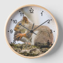 Search for woodland animals clocks Squirrel