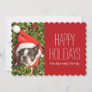 Search for boston terrier cards Snow