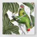 Search for amazon art Animals