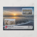 Search for sea postcards Wildlife