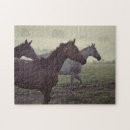 Search for arabian horse puzzles Chestnut