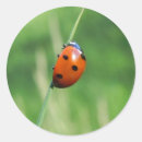 Search for red and green ladybug stickers Nature