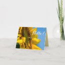 Search for blank sunflower cards Bee