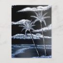 Search for black and white palm trees postcards Beach