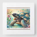 Search for tortoise clocks Wildlife