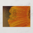 Search for celtic blessing postcards Gaelic