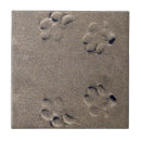 Search for dog paw print tiles Paws