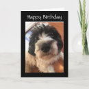 Search for wags cards Photography