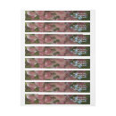 Search for cherry tree return address labels Blossom
