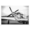 Search for mustang posters Pilot