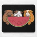 Search for guinea pig mouse mats Pets