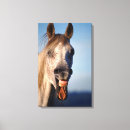 Search for cheerful canvas prints Fun