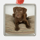 Search for chocolate lab christmas tree decorations Animal