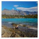 Search for bobbed New zealand