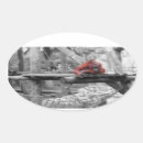 Search for baby orangutan stickers Primates