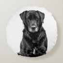 Search for labrador cushions dog