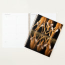 Search for conservation planners Animal