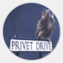 Search for driving stickers School