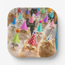Search for cat birthday plates Funny