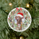 Search for vizsla christmas tree decorations Nature