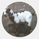 Search for kid goat stickers Farm