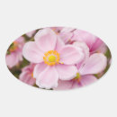 Search for anemone flower stickers Garden