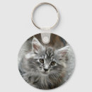 Search for maine coon key rings Cute