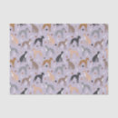 Search for dog paw tissue paper Dogs