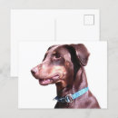 Search for pinscher postcards Dobie