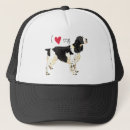 Search for springer spaniels hats English springer spaniel