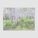 Search for birch trees tissue paper Forest