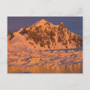 Search for antarctic postcards Coast