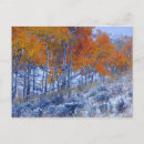 Search for fall colour postcards Scenic
