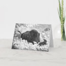 Search for boars cards Pig
