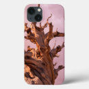 Search for trails ipad cases Forest