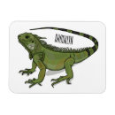 Search for iguana magnets Mexico