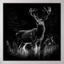 Search for deer antlers posters Wildlife