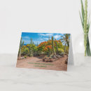 Search for canaries cards Spain
