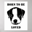 Search for white terrier posters Black and white
