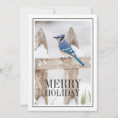 Search for perching cards Winter