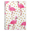 Search for flamingo notebooks Illustration
