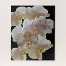 Search for orchid puzzles Flower