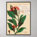 Search for vintage food advertising posters Retro