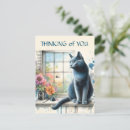Search for russian blue cat postcards Nature