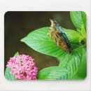 Search for blue morpho butterfly electronics Flower