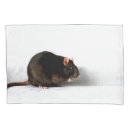 Search for rat pillowcases Cute